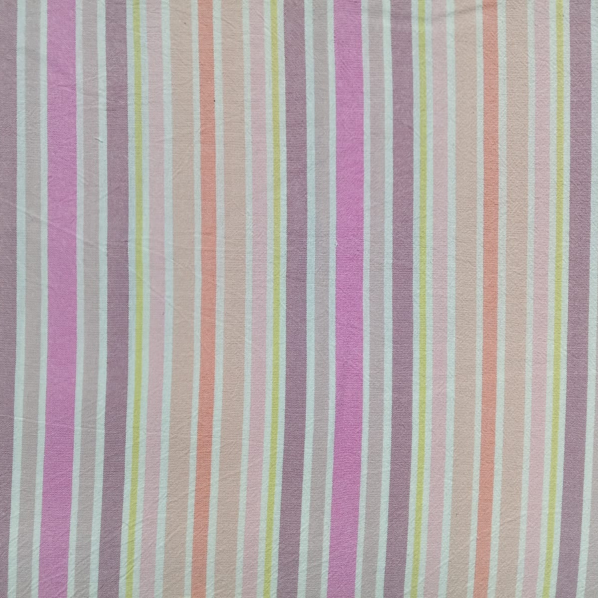 Check & Stripes SC029