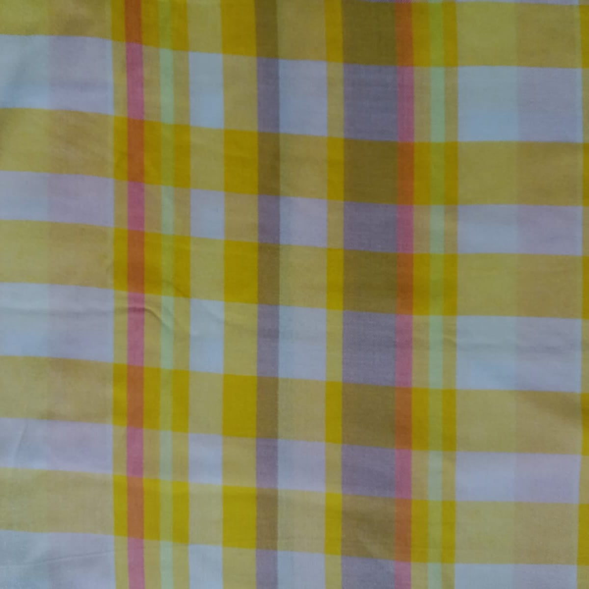 Check & StripesSC034