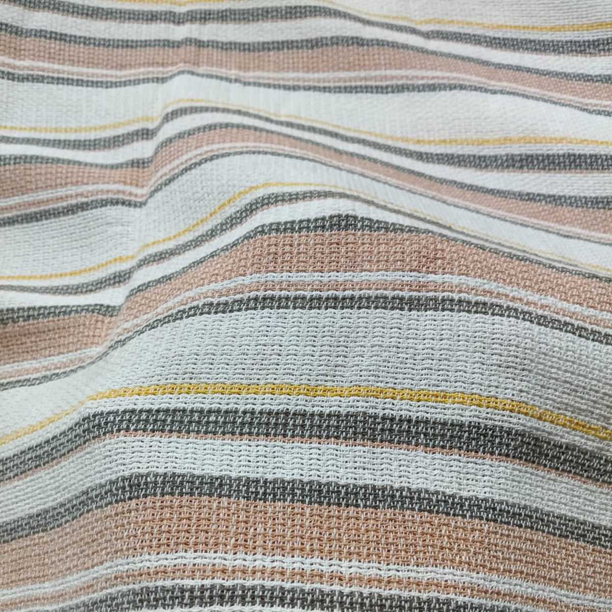 Check & Stripes SC036