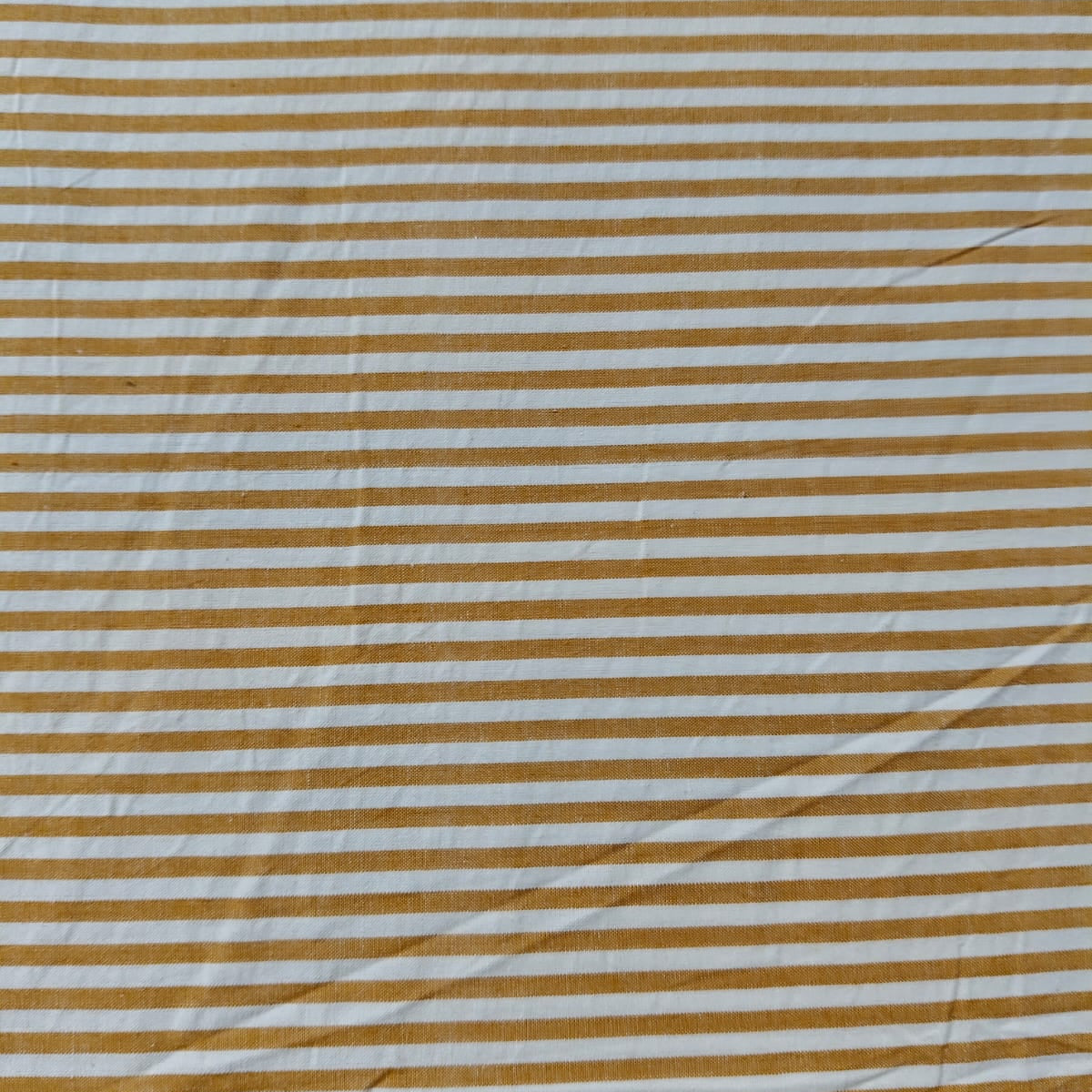 Check & Stripes SC002