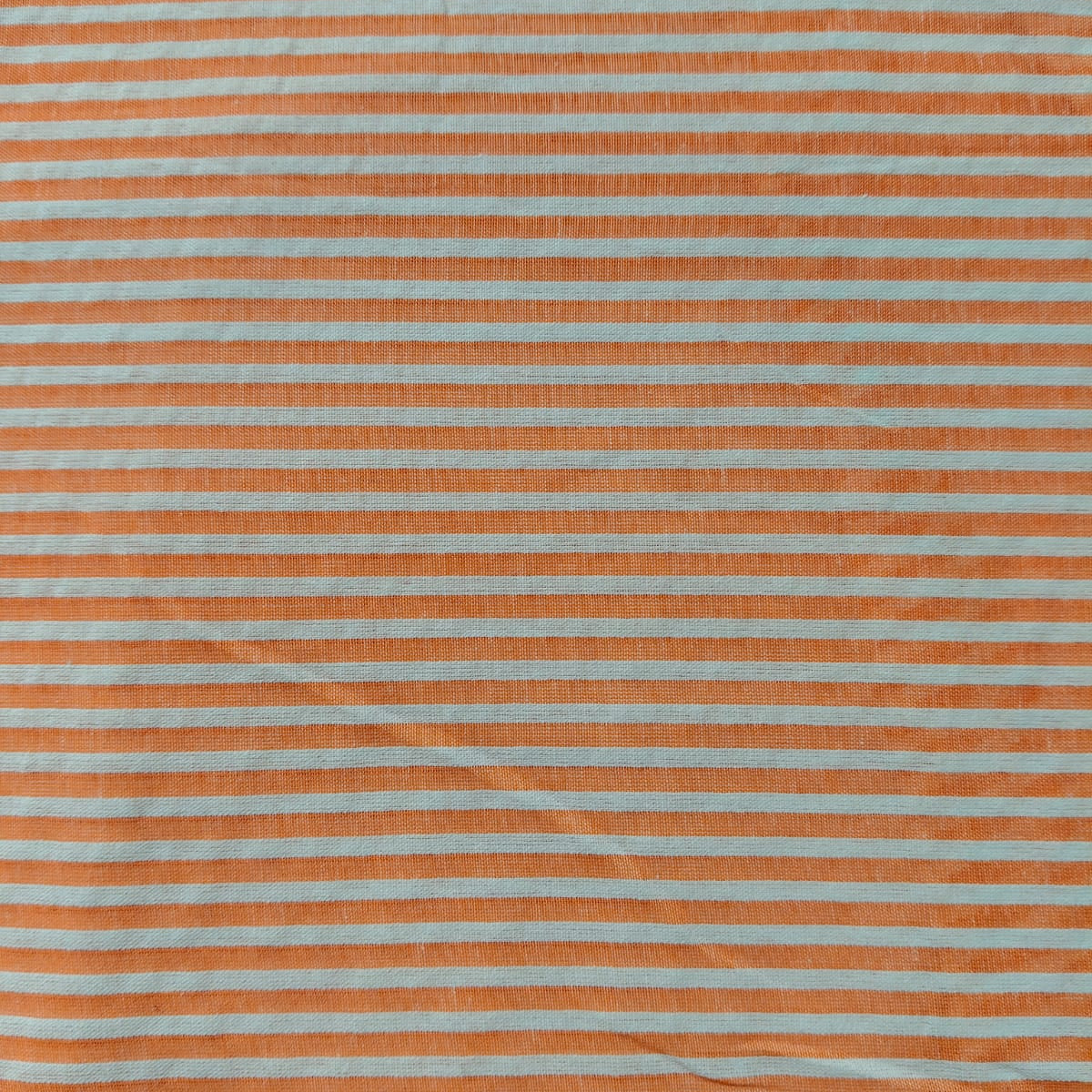 Check & Stripes SC018