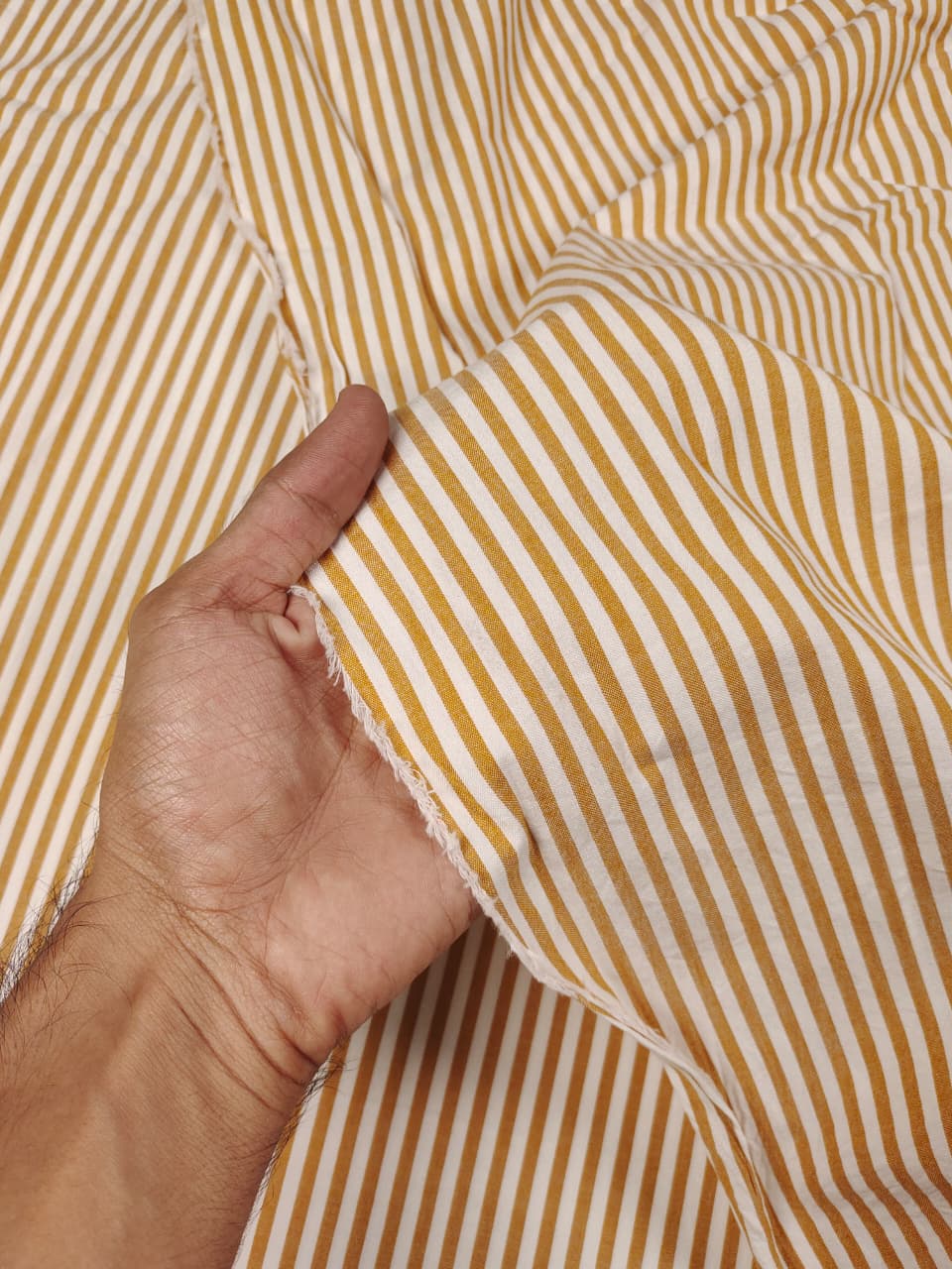 Check & Stripes SC002