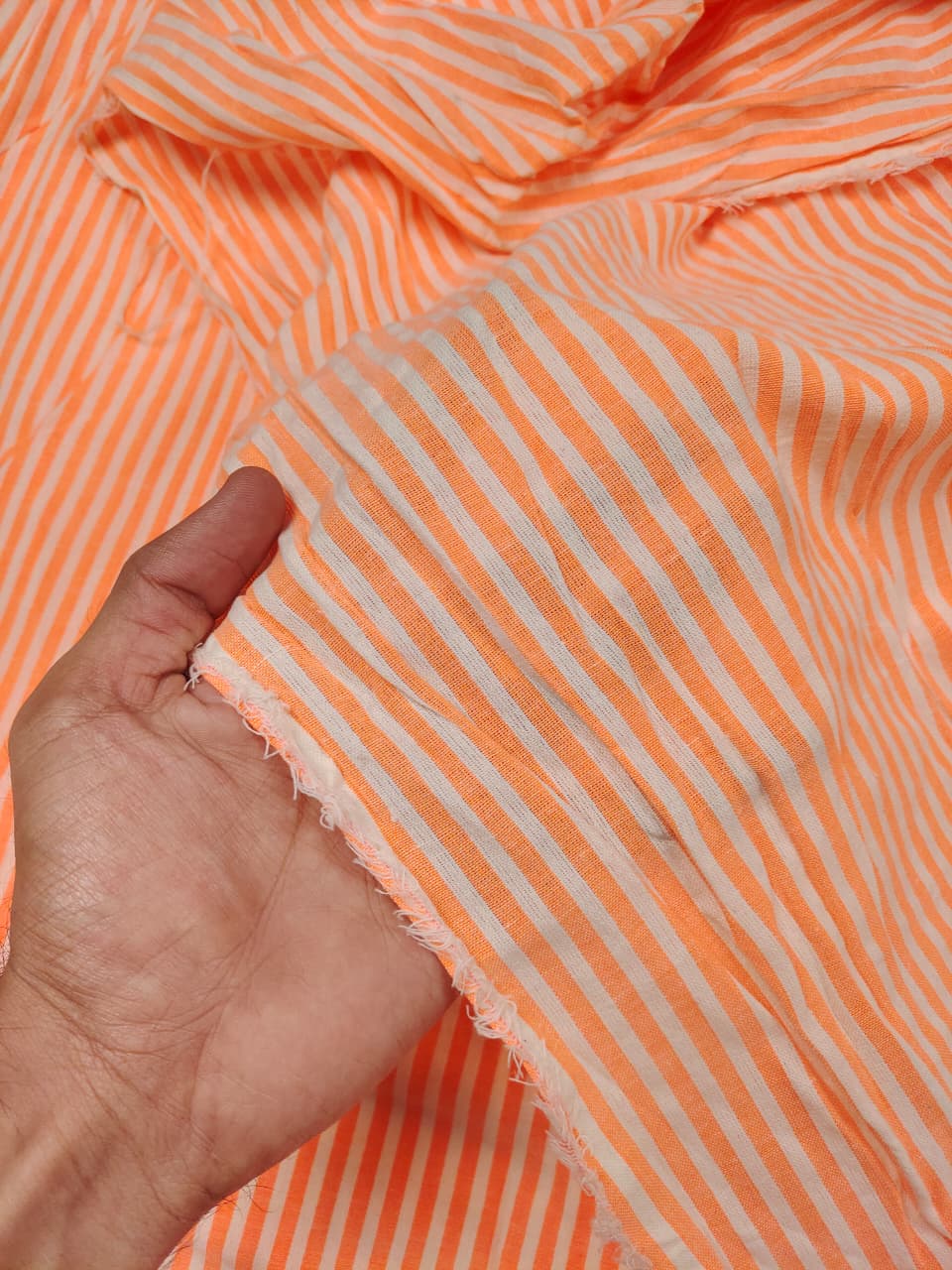 Check & Stripes SC019