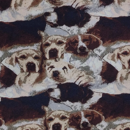 Jacquard Fabric JQ305