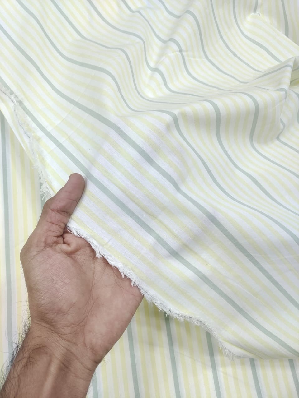 Checks & Stripes SC070