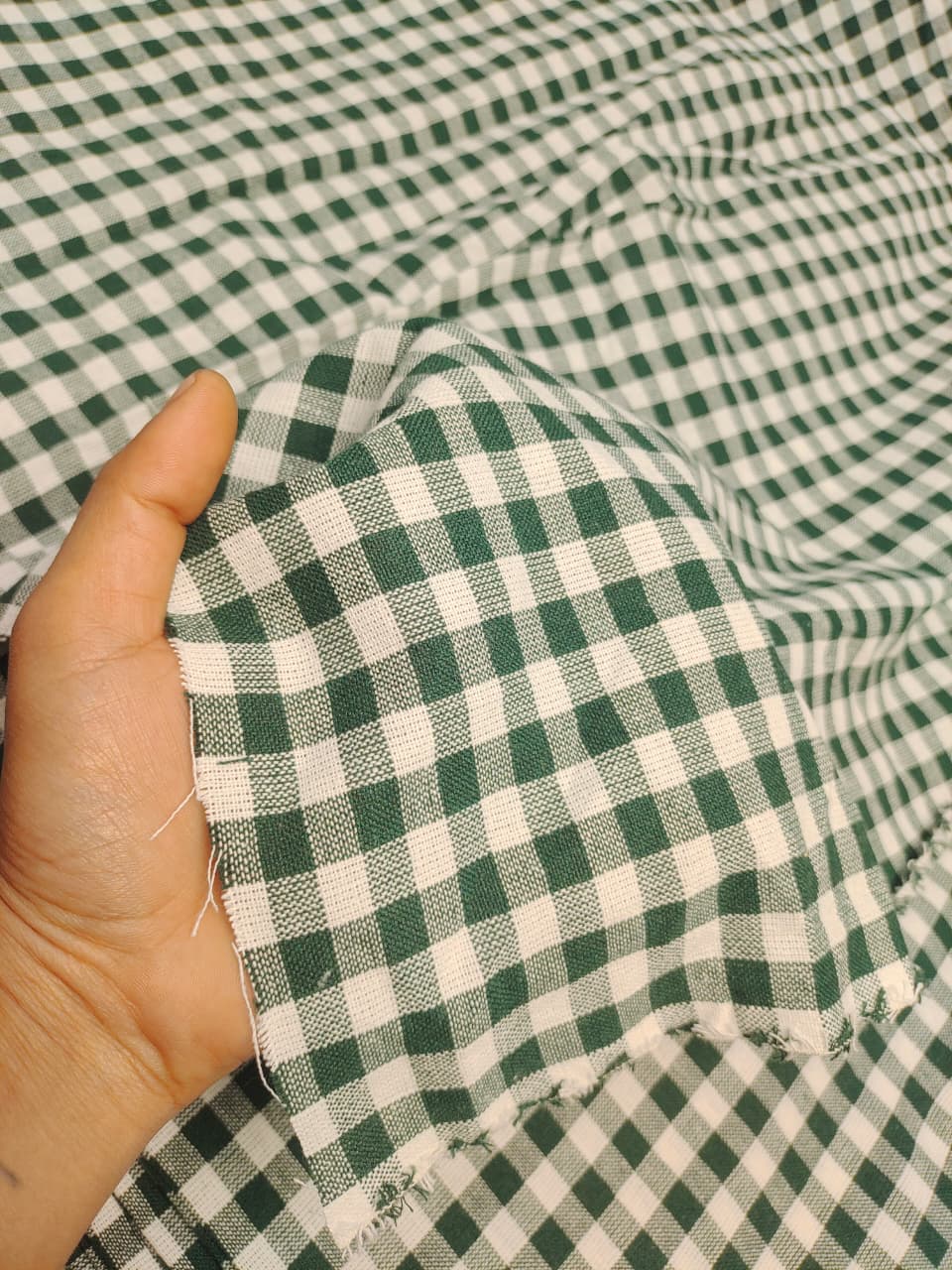 Check & Stripes SC076