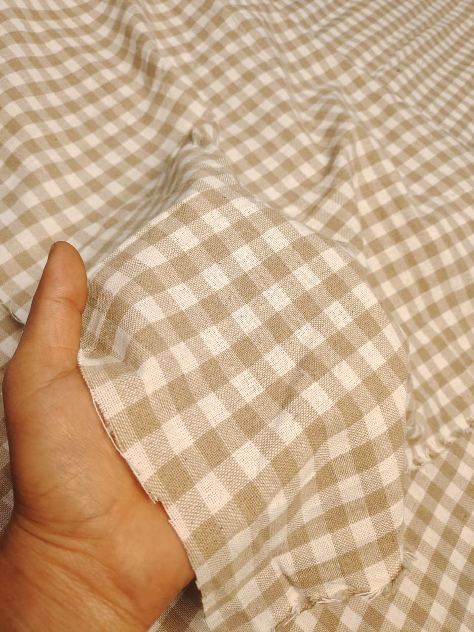 Check & Stripes SC077