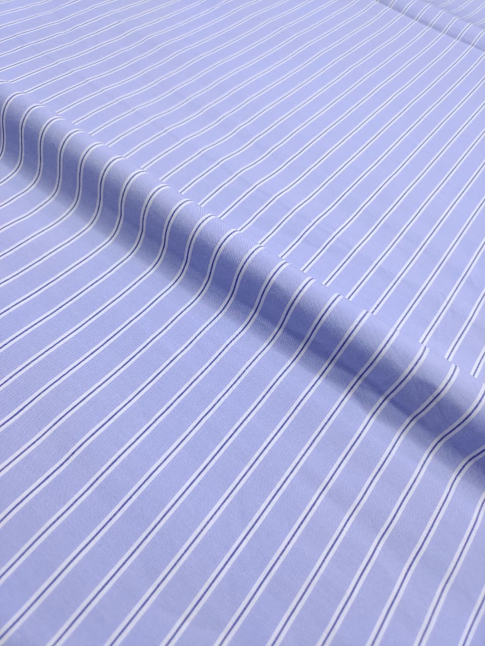 Check & Stripes SC081