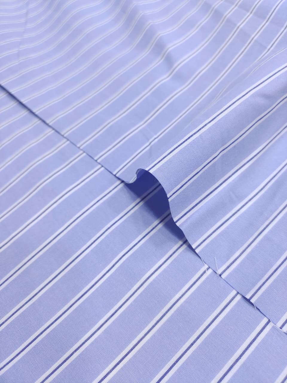 Check & Stripes SC081
