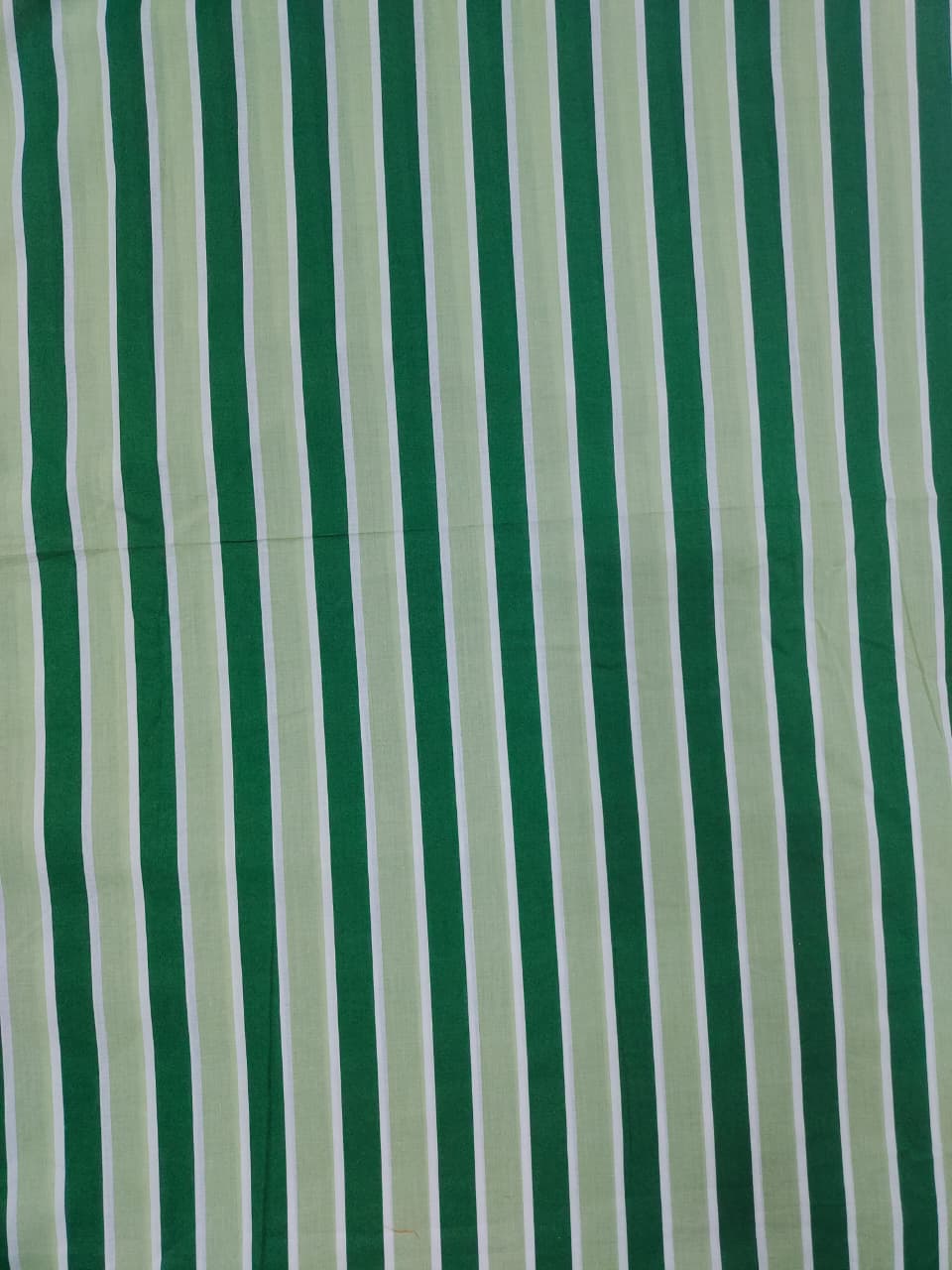 Check & Stripes SC085