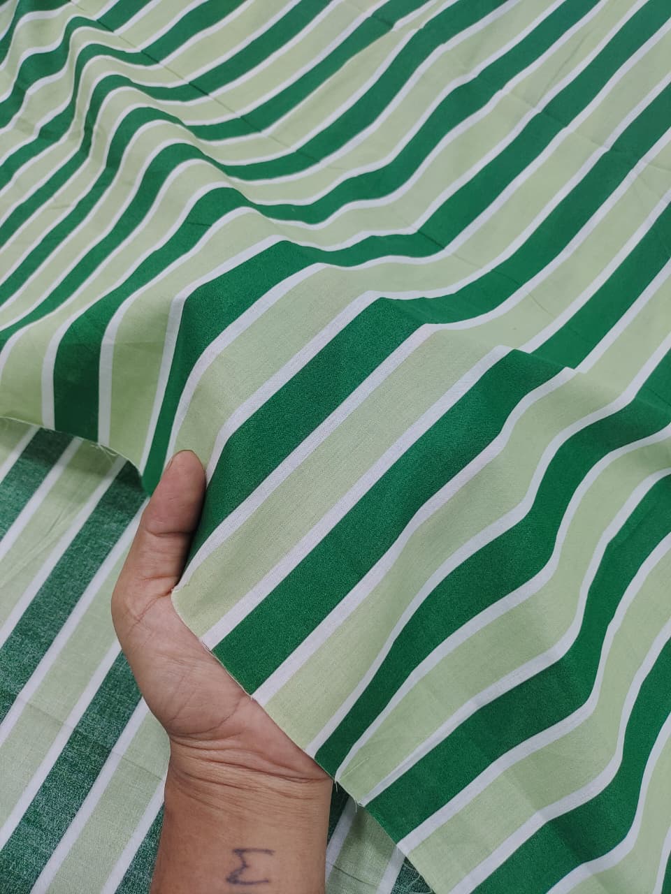 Check & Stripes SC085