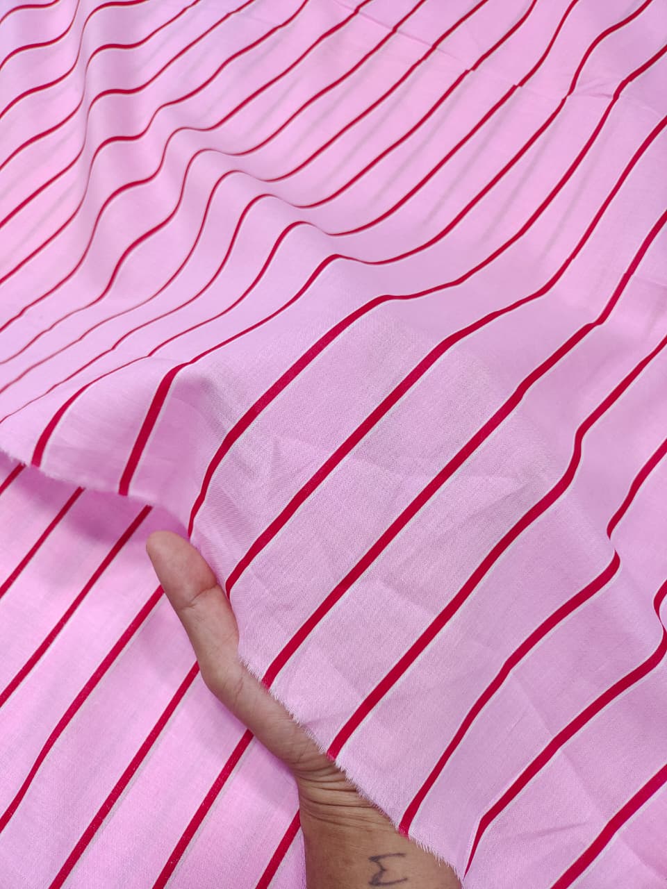 Check & Stripes SC098