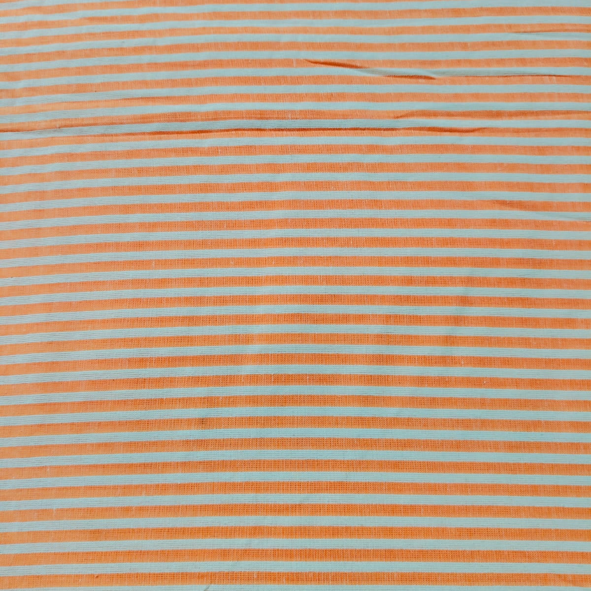 Check & Stripes SC019